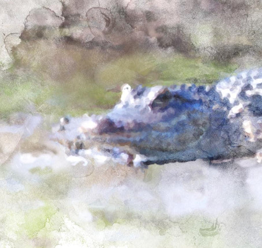 Gator (Wildlife Series)