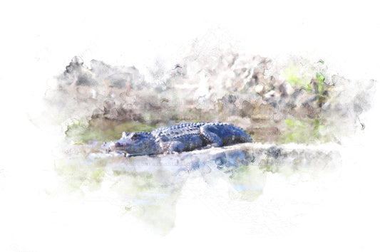 Gator (Wildlife Series)
